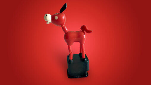 Red collapsable toy donkey - Ask An Iranian - What things should you not say to an Iranian? - Persian insults
